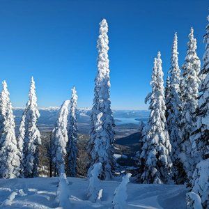 Meet your Posher, Josh